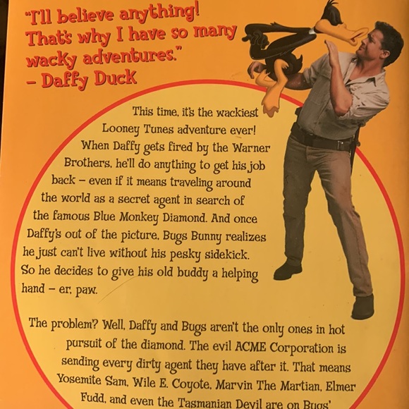 Illustrated chapter books set of 5 - Picture 13 of 14